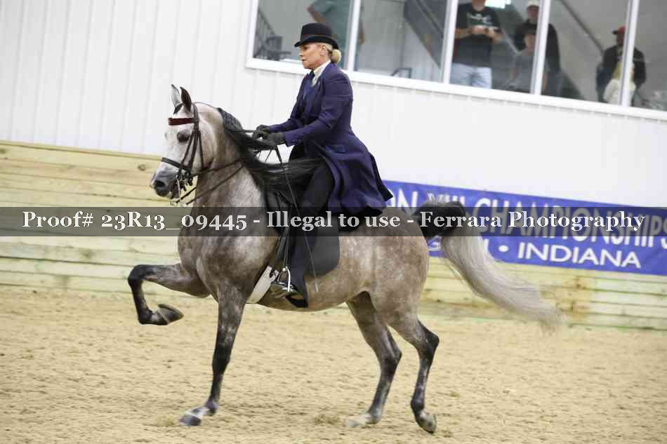 Proof 23R13_09445