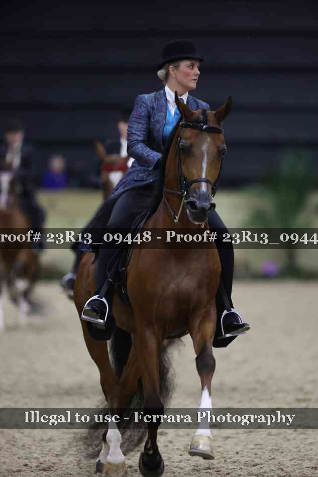 Proof 23R13_09448