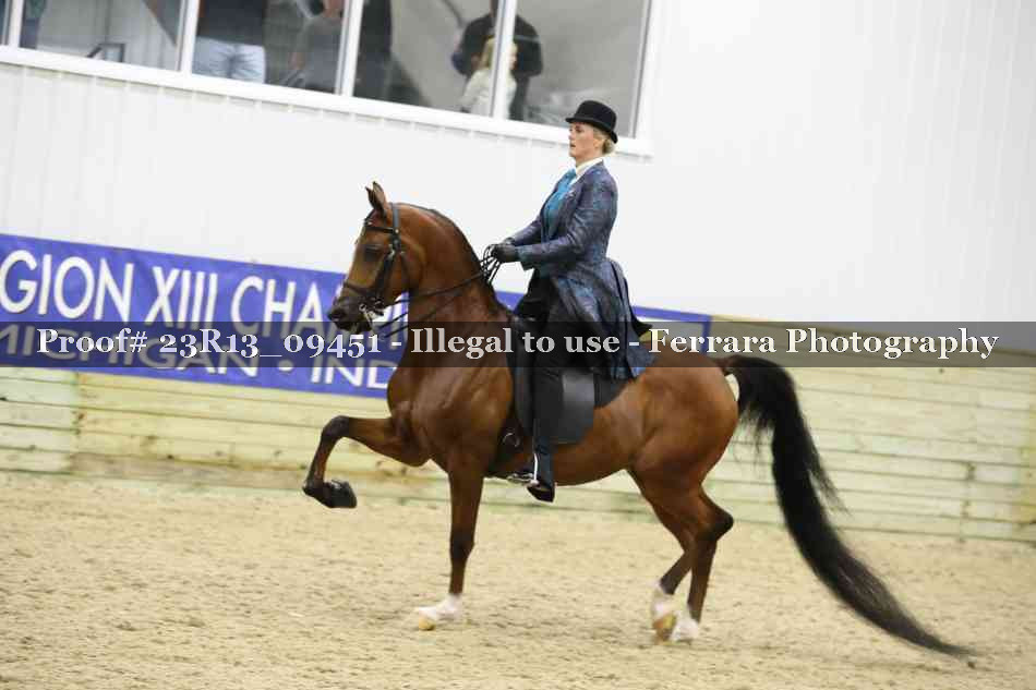 Proof 23R13_09451