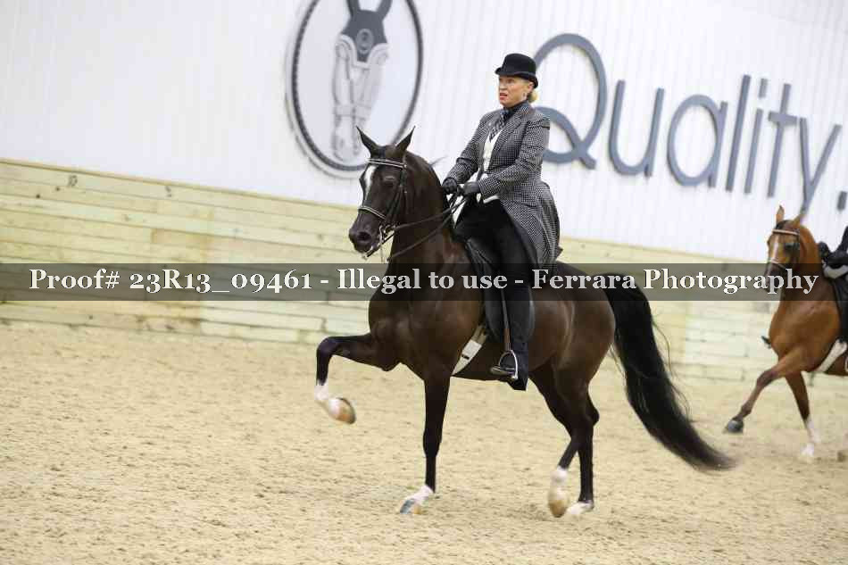 Proof 23R13_09461