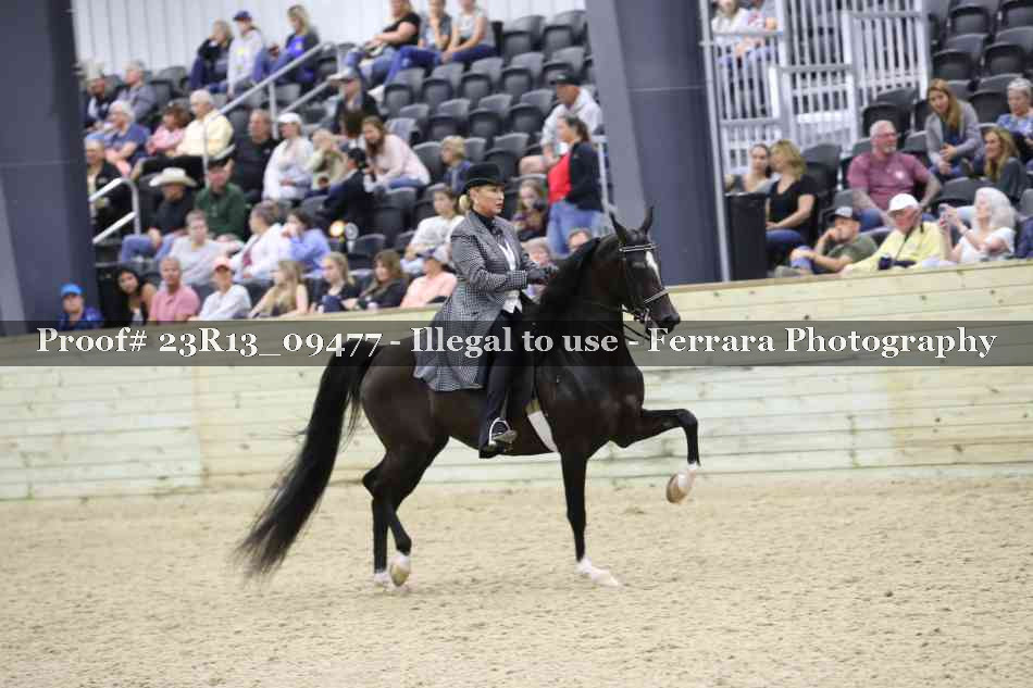 Proof 23R13_09477