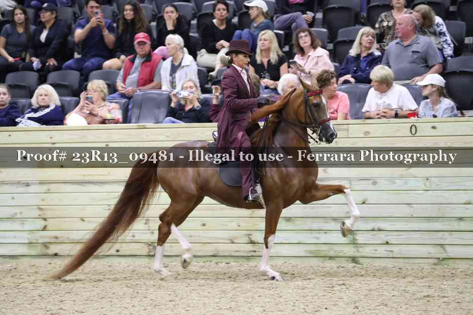 Proof 23R13_09481