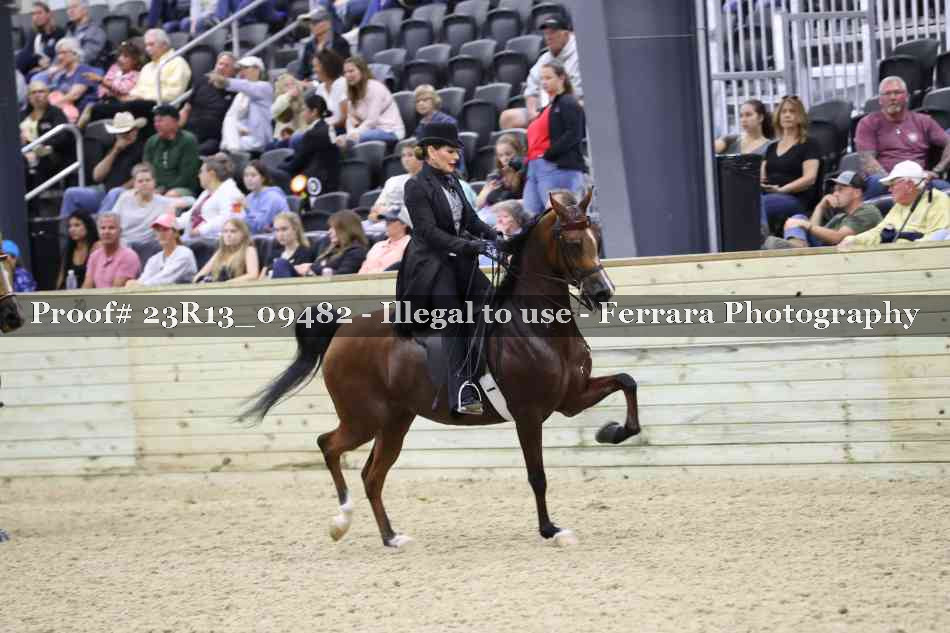 Proof 23R13_09482