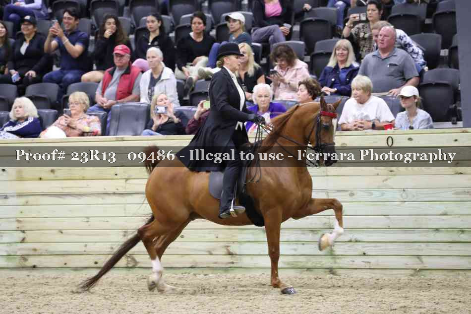 Proof 23R13_09486