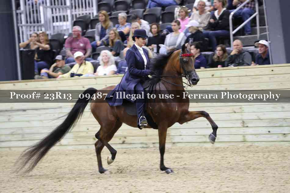 Proof 23R13_09487