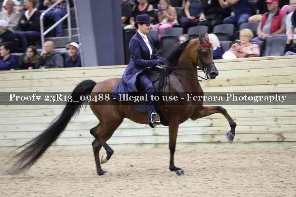 Proof 23R13_09488