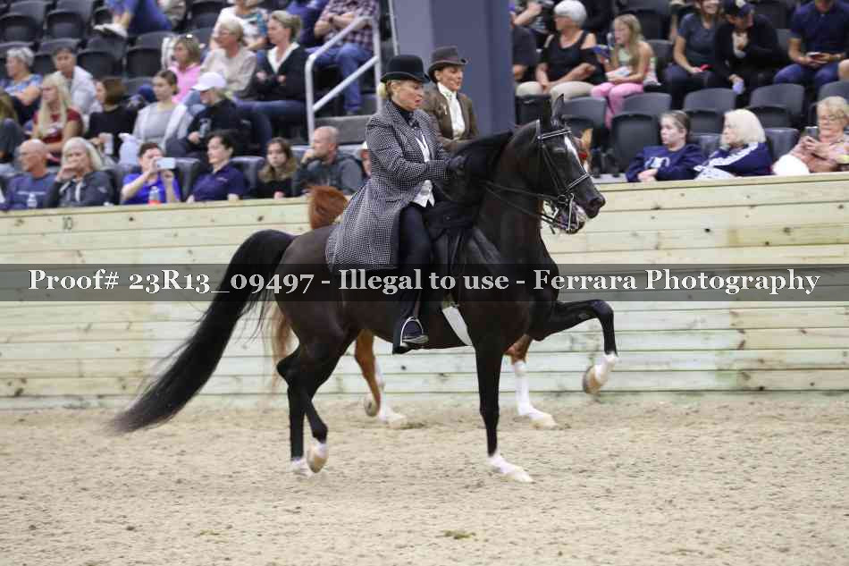 Proof 23R13_09497