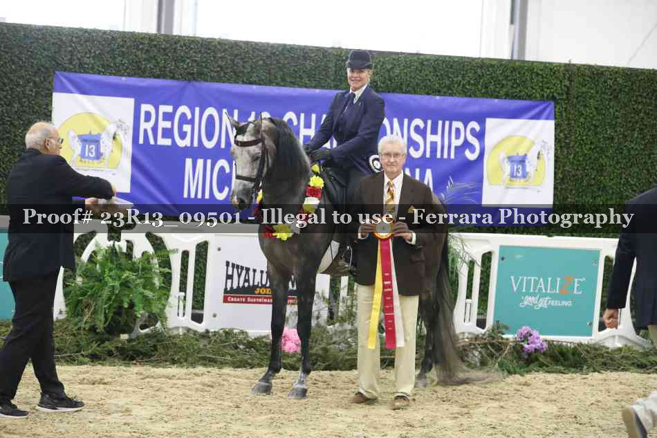 Proof 23R13_09501