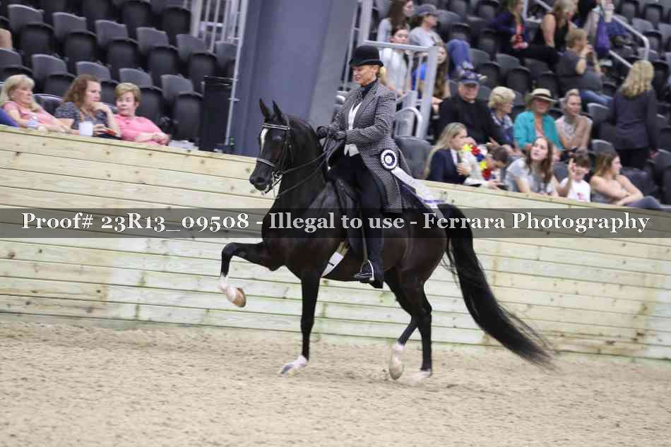 Proof 23R13_09508