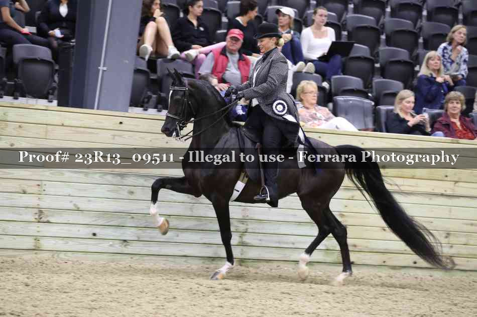 Proof 23R13_09511