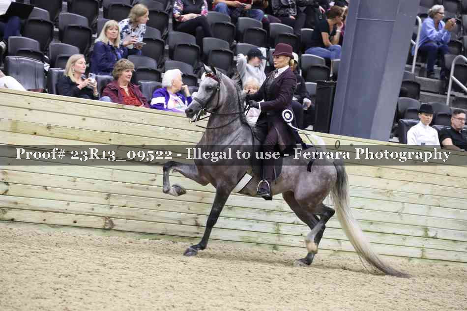 Proof 23R13_09522