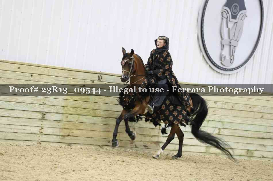 Proof 23R13_09544