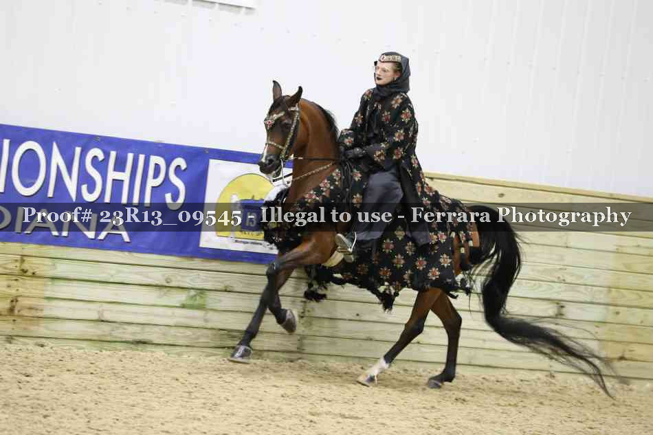 Proof 23R13_09545