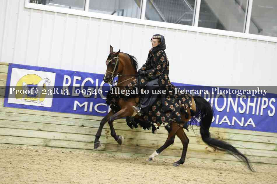 Proof 23R13_09546