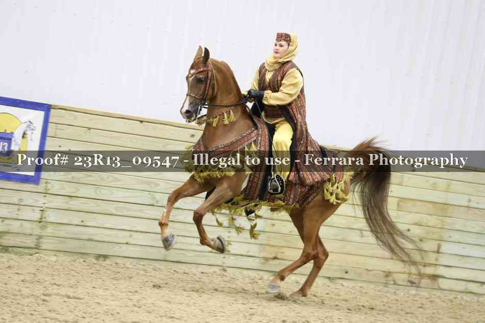 Proof 23R13_09547