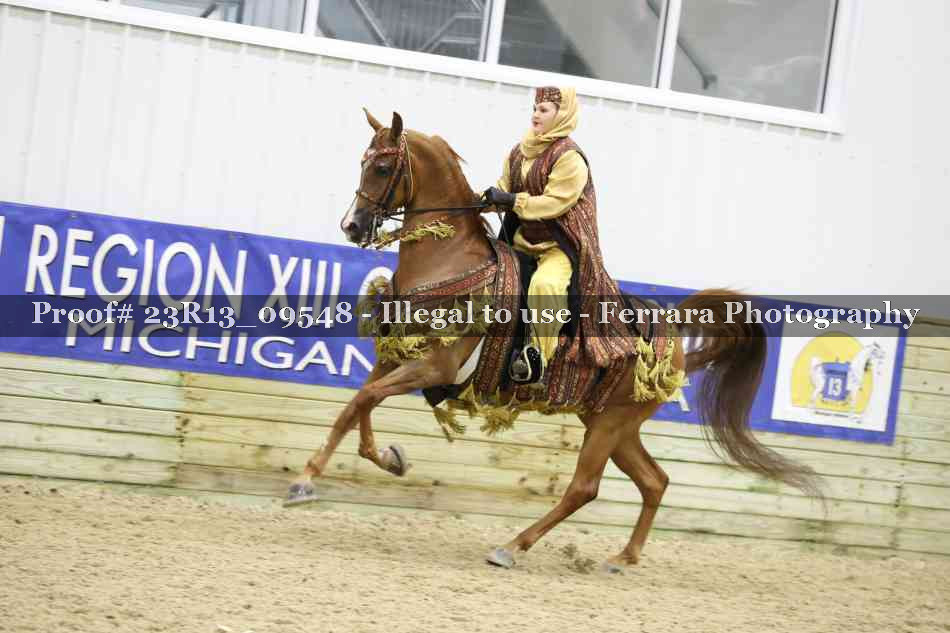 Proof 23R13_09548