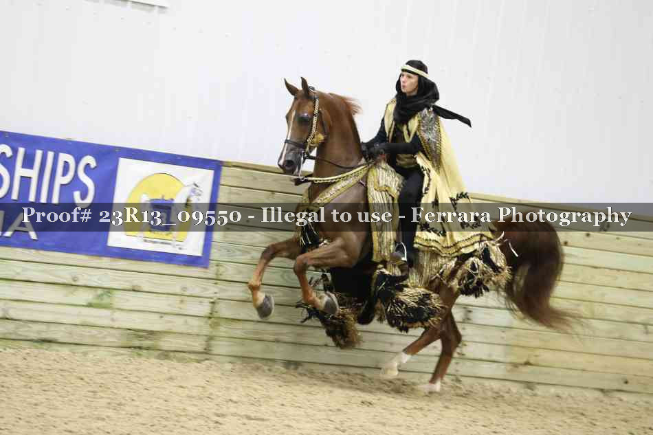 Proof 23R13_09550