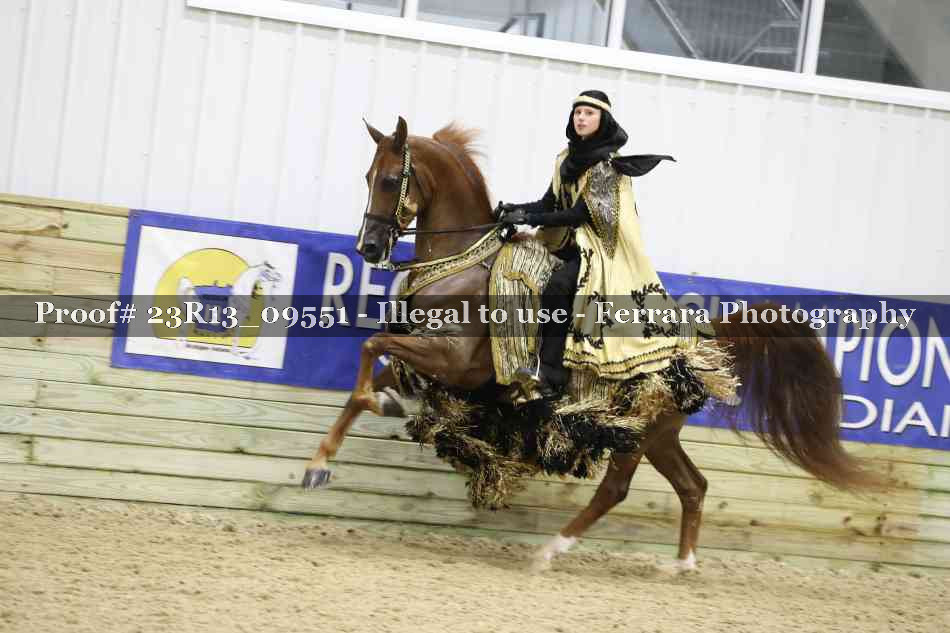 Proof 23R13_09551