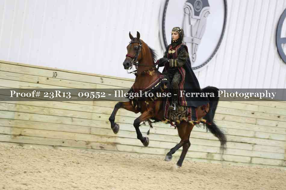 Proof 23R13_09552