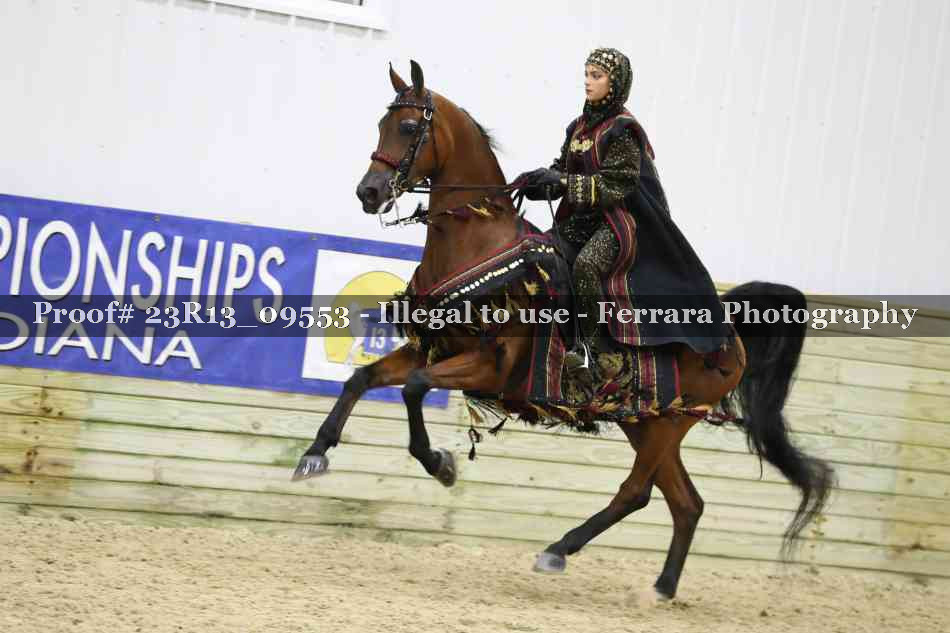 Proof 23R13_09553