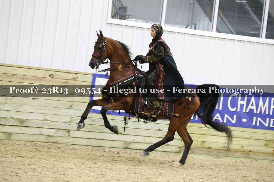Proof 23R13_09554