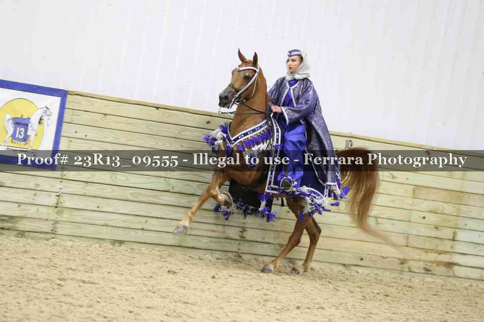 Proof 23R13_09555
