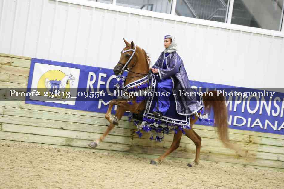 Proof 23R13_09556