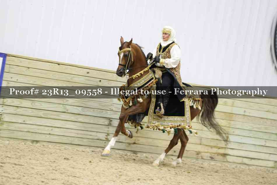 Proof 23R13_09558