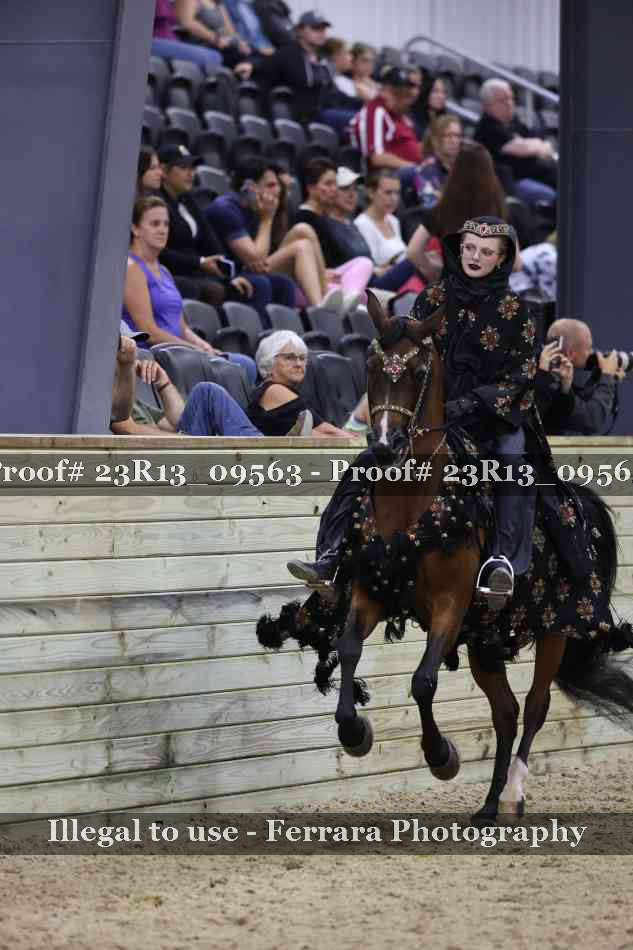 Proof 23R13_09563