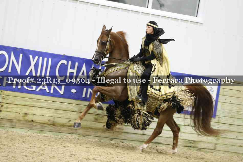 Proof 23R13_09564