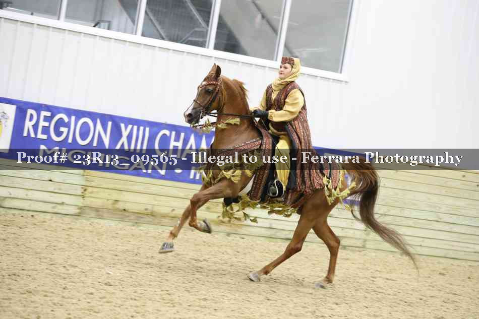 Proof 23R13_09565