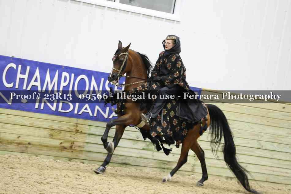 Proof 23R13_09566