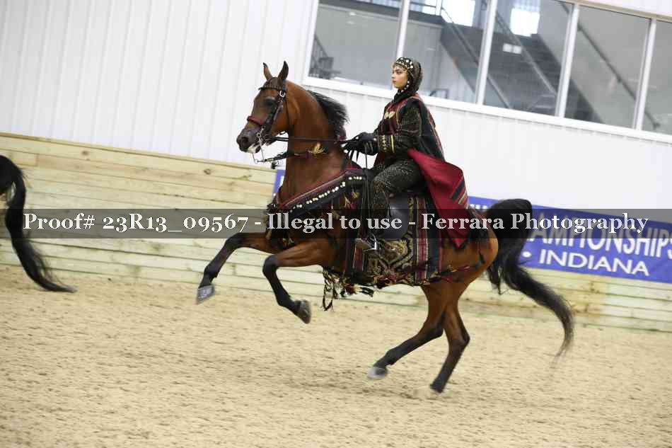 Proof 23R13_09567