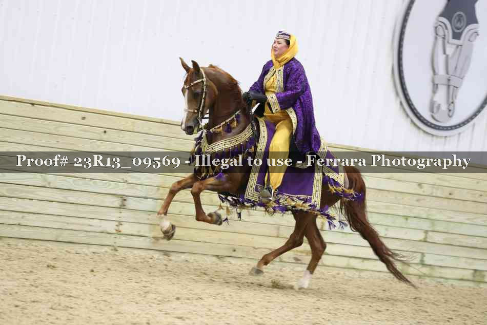 Proof 23R13_09569