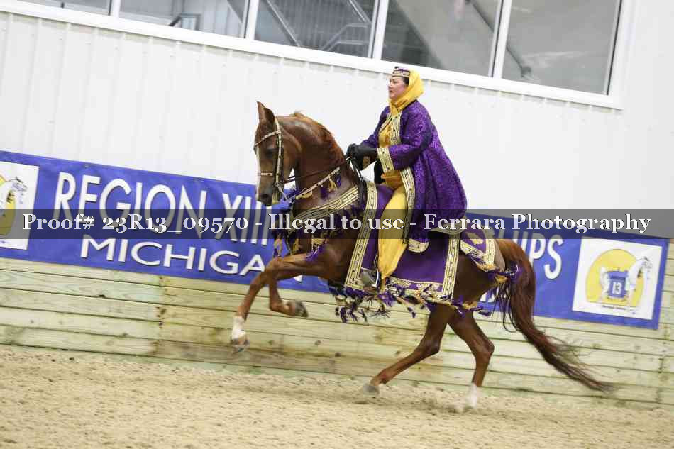 Proof 23R13_09570