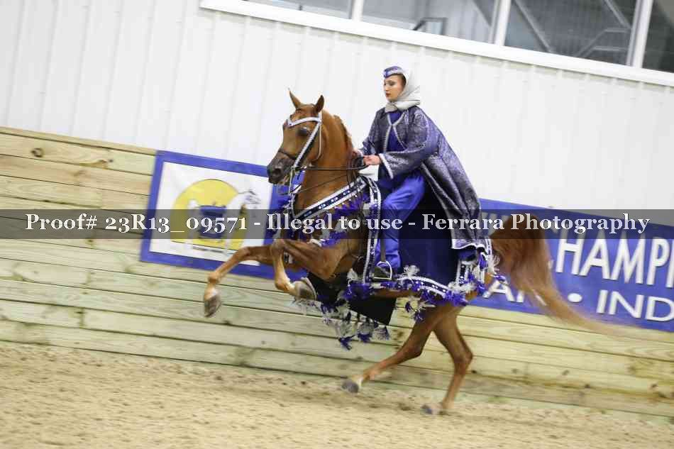 Proof 23R13_09571