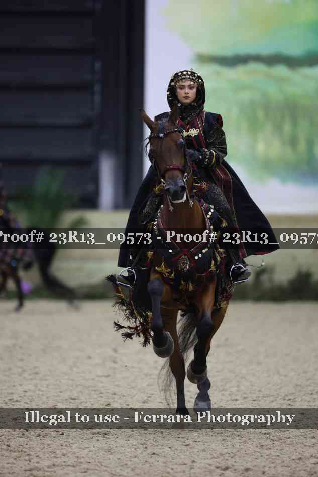 Proof 23R13_09573