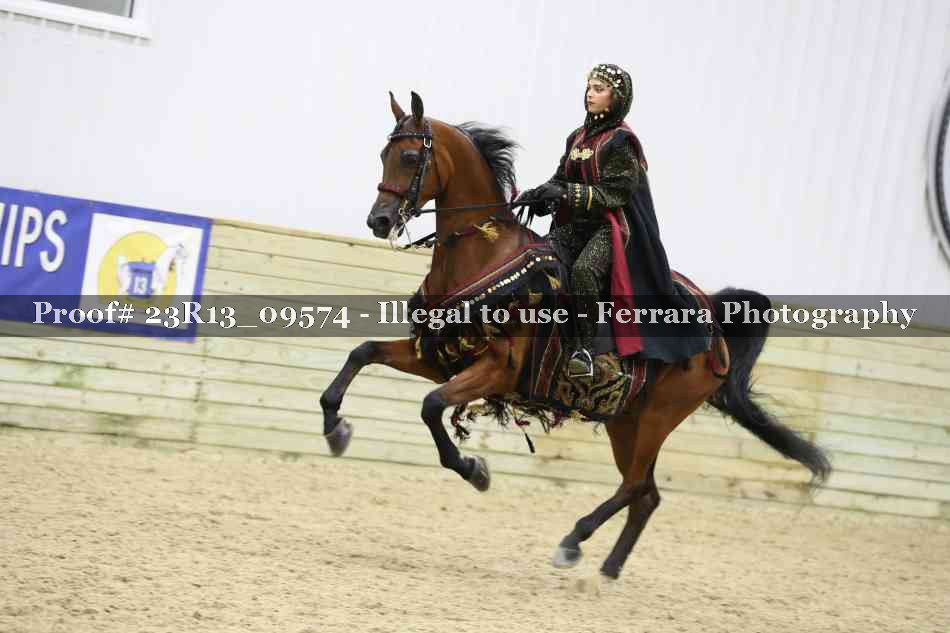 Proof 23R13_09574