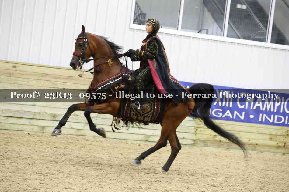 Proof 23R13_09575