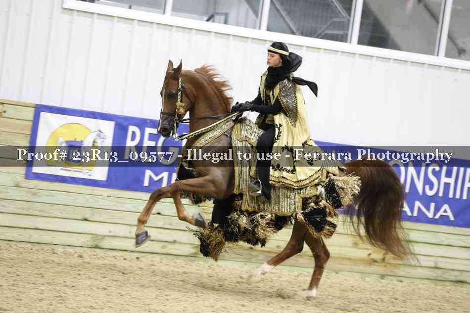 Proof 23R13_09577