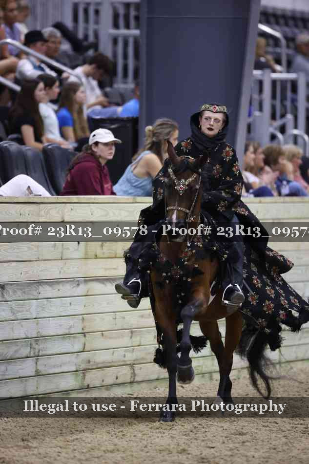 Proof 23R13_09578