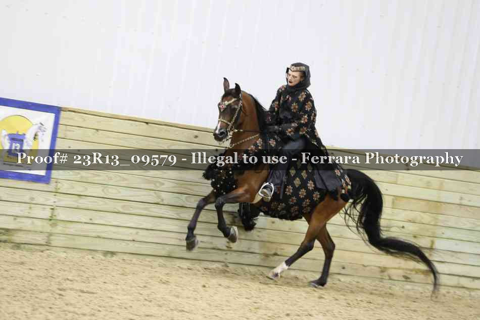 Proof 23R13_09579