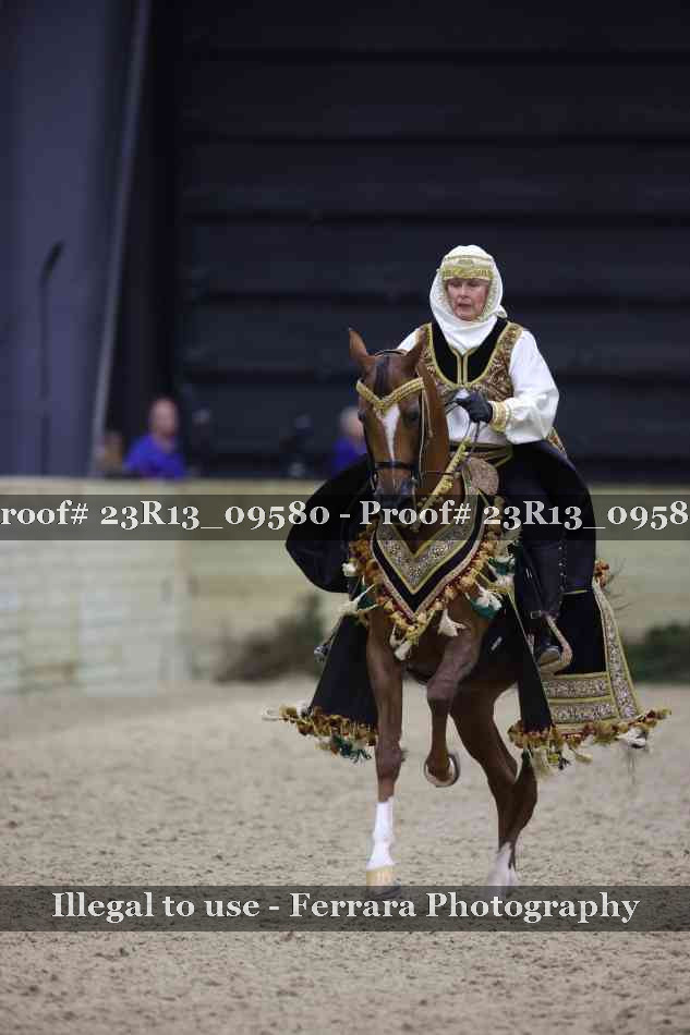 Proof 23R13_09580