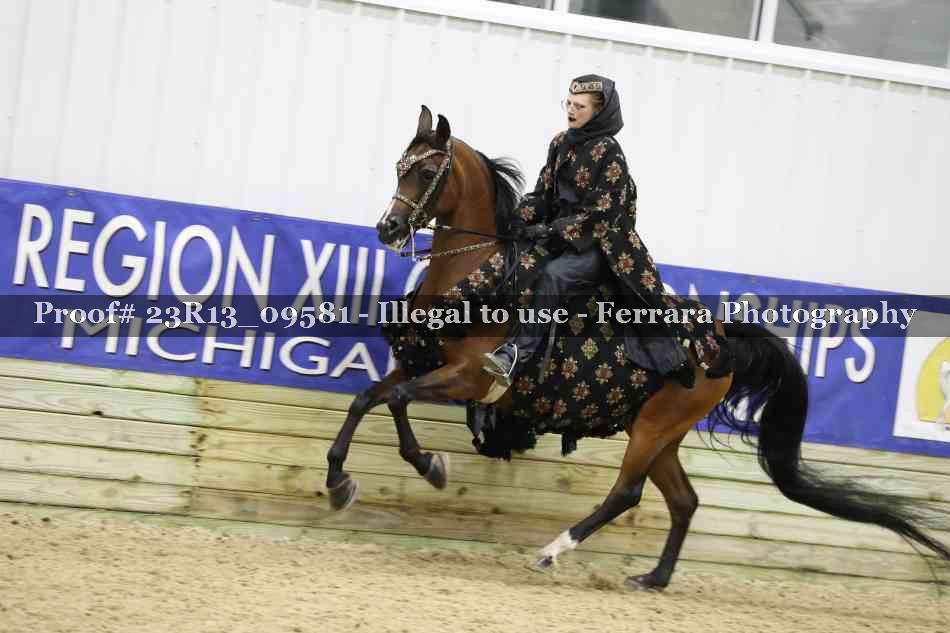 Proof 23R13_09581