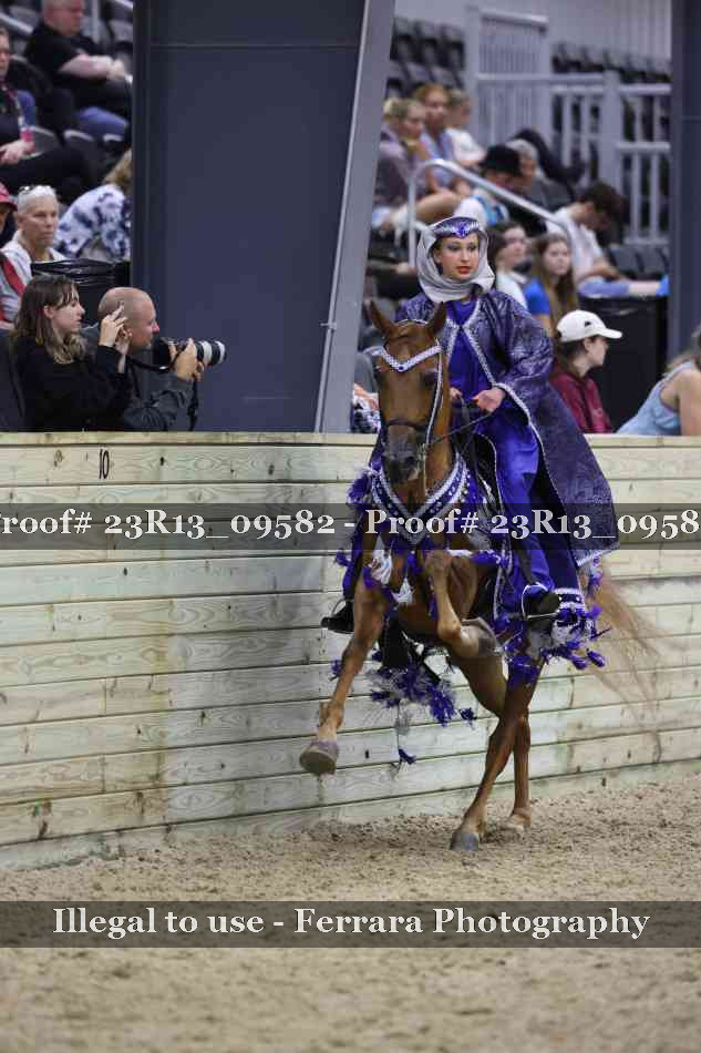 Proof 23R13_09582