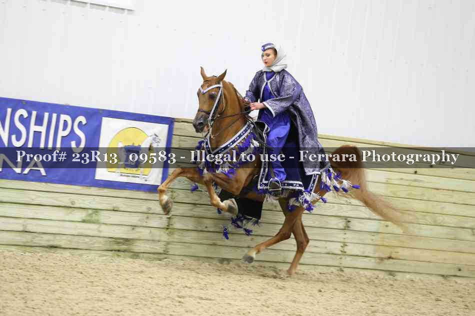 Proof 23R13_09583