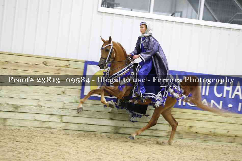 Proof 23R13_09584