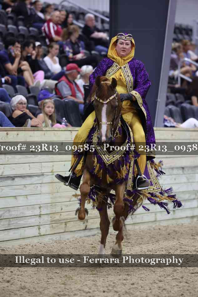 Proof 23R13_09585