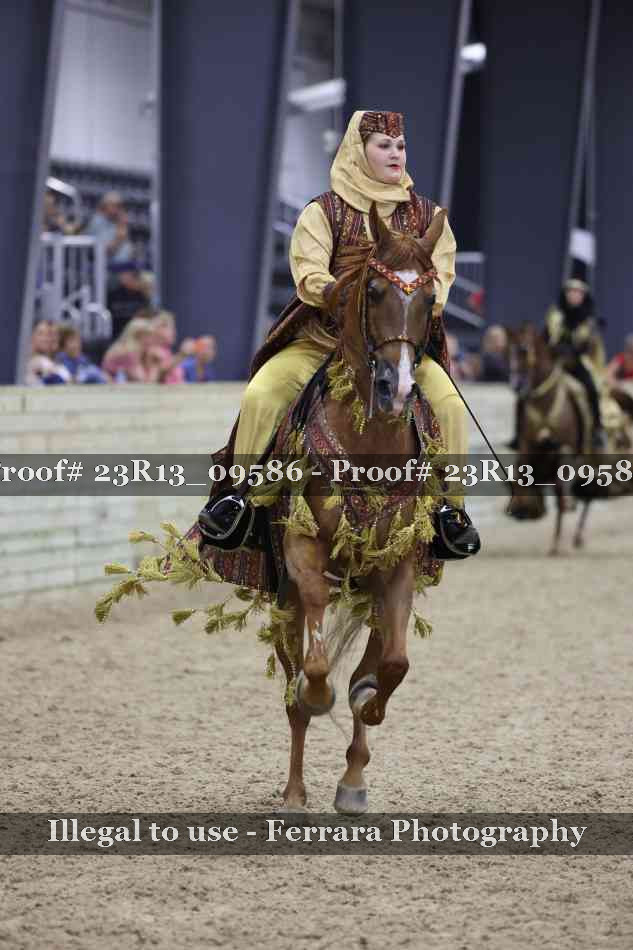 Proof 23R13_09586