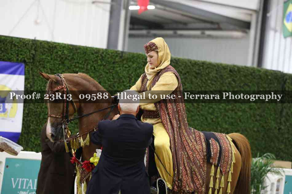 Proof 23R13_09588